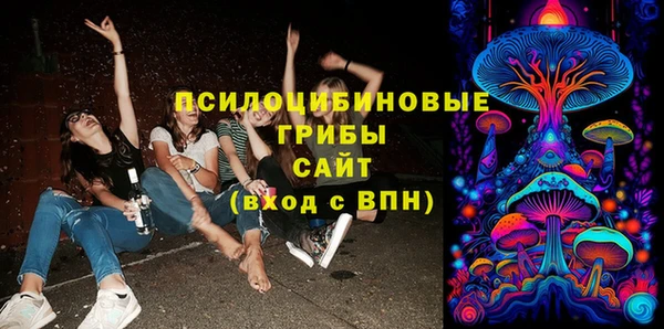 дживик Киренск
