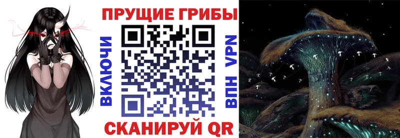 Псилоцибиновые грибы GOLDEN TEACHER  мега маркетплейс  Малгобек  цена наркотик 
